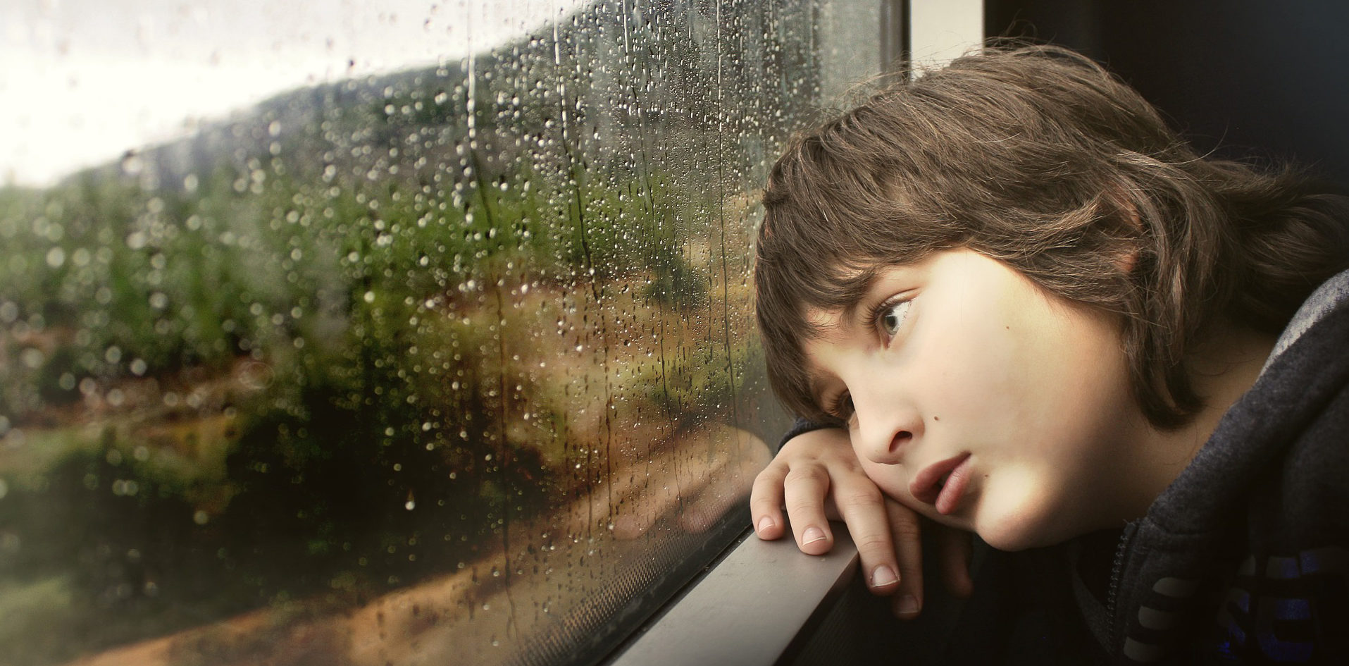 En este momento estás viendo Las emociones y el aprendizaje