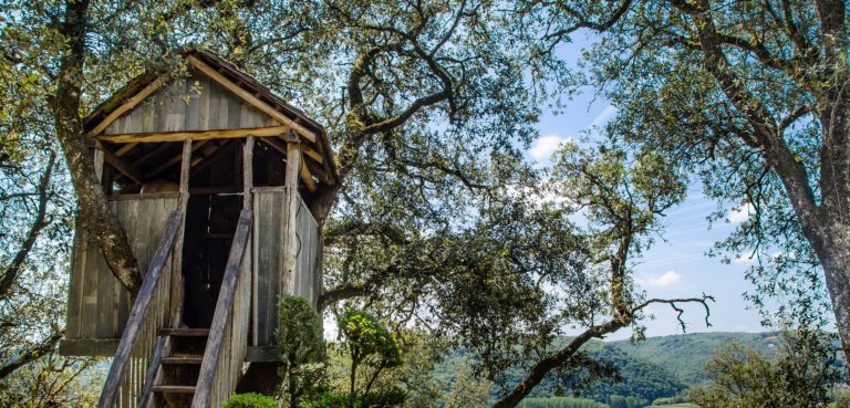 Lee más sobre el artículo Nuestra casa en el árbol